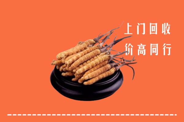 高价求购：洮北区回收散虫草