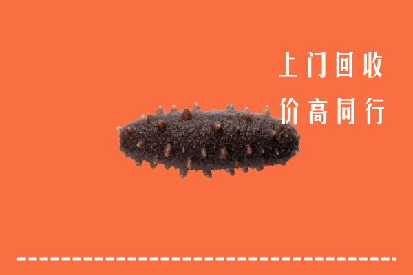 高价求购：洮北区回收海参