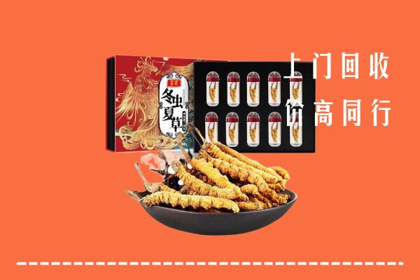 洮北区回收虫草